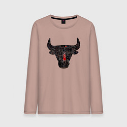 Мужской лонгслив Bulls - Jordan