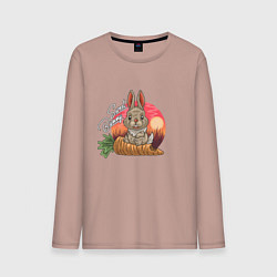 Лонгслив хлопковый мужской Sweet Bunny, цвет: пыльно-розовый
