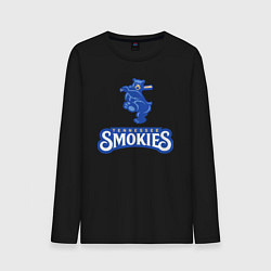 Лонгслив хлопковый мужской Tennessee smokies - baseball team, цвет: черный