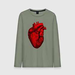 Мужской лонгслив Сердце анатомическое