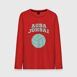 Лонгслив хлопковый мужской Aoba Johsai, цвет: красный