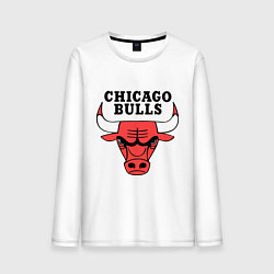 Мужской лонгслив Chicago Bulls