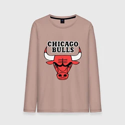 Мужской лонгслив Chicago Bulls