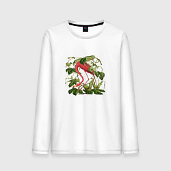 Лонгслив хлопковый мужской Фламинго акварель, цвет: белый
