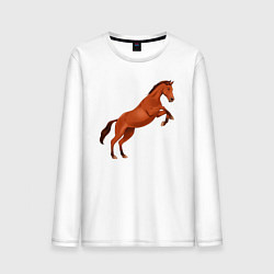 Лонгслив хлопковый мужской Англо-арабская лошадь, цвет: белый