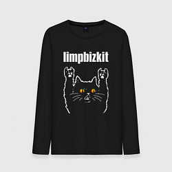 Мужской лонгслив Limp Bizkit rock cat