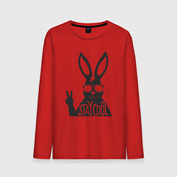 Мужской лонгслив Stay cool rabbit