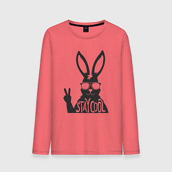 Мужской лонгслив Stay cool rabbit