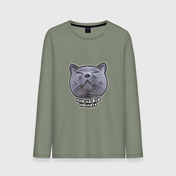 Мужской лонгслив Кот мне на всё наспать