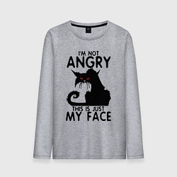 Лонгслив хлопковый мужской I am not angry cat, цвет: меланж