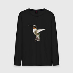 Мужской лонгслив Рубиновогорлый колибри