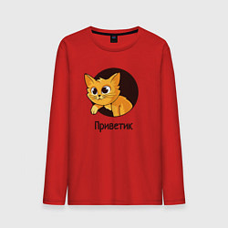 Мужской лонгслив Приветствующий котик