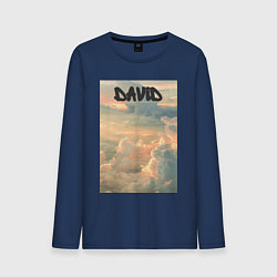 Лонгслив хлопковый мужской David облака, цвет: тёмно-синий