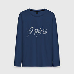 Мужской лонгслив Stray Kids металлик