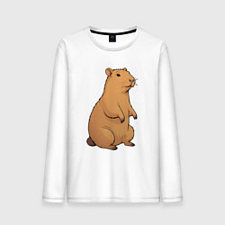 Мужской лонгслив Звери капибара