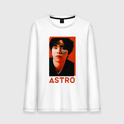 Мужской лонгслив Astro Роки