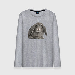 Лонгслив хлопковый мужской Серый пушистый кролик, цвет: меланж