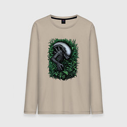 Лонгслив хлопковый мужской Ксеноморф в зарослях, цвет: миндальный