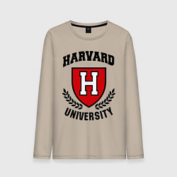 Мужской лонгслив Harvard University