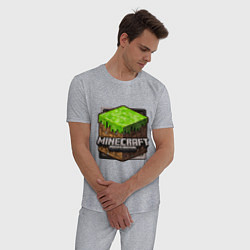 Пижама хлопковая мужская Minecraft: Pocket Edition, цвет: меланж — фото 2