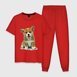 Пижама хлопковая мужская Песик коржик, цвет: красный