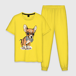 Пижама хлопковая мужская Чихуахуа с бабочкой, цвет: желтый