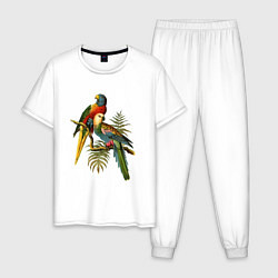 Пижама хлопковая мужская Тропические попугаи, цвет: белый