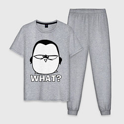 Пижама хлопковая мужская What?, цвет: меланж