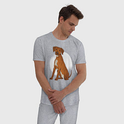 Пижама хлопковая мужская Родезийский риджбек, цвет: меланж — фото 2