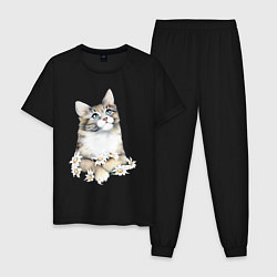 Пижама хлопковая мужская Котенок с ромашками, цвет: черный