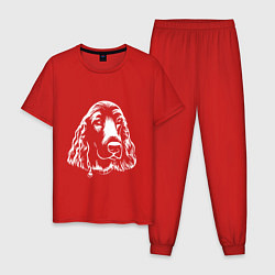 Пижама хлопковая мужская Спаниель Z, цвет: красный