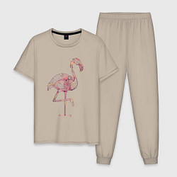 Пижама хлопковая мужская Узорчатый фламинго, цвет: миндальный