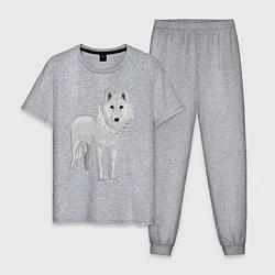 Пижама хлопковая мужская Белый волк, цвет: меланж