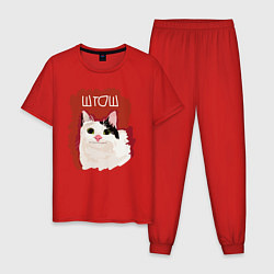 Пижама хлопковая мужская Котик ШТОШ, цвет: красный