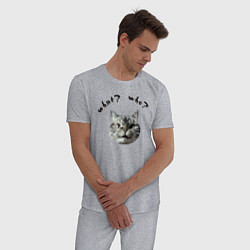 Пижама хлопковая мужская Кот с вопросами, цвет: меланж — фото 2