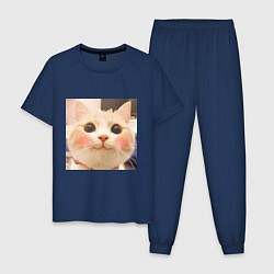 Пижама хлопковая мужская Мем про котов, цвет: тёмно-синий