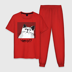 Пижама хлопковая мужская Кот Чего?, цвет: красный