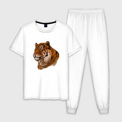 Пижама хлопковая мужская Тигр маслом, цвет: белый