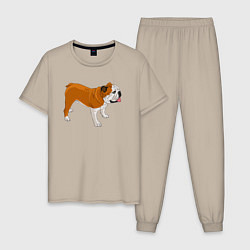 Пижама хлопковая мужская Английский бульдог рисунок собаки, цвет: миндальный