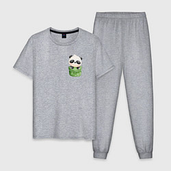 Пижама хлопковая мужская Маленькая панда в кармане, цвет: меланж