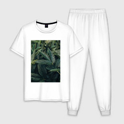Пижама хлопковая мужская Роса На Листьях, цвет: белый