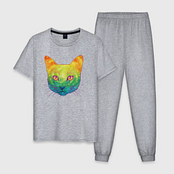 Мужская пижама Радужный котик rainbow cat