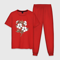 Пижама хлопковая мужская Цветы хлопка в букете, цвет: красный
