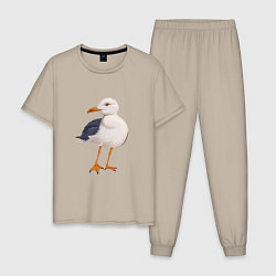 Пижама хлопковая мужская Белая чайка, цвет: миндальный