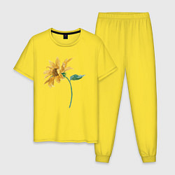 Мужская пижама Branch With a Sunflower Подсолнух