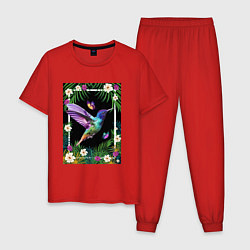 Пижама хлопковая мужская Колибри в тропиках, цвет: красный