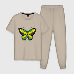 Пижама хлопковая мужская Бабочка - Ямайка, цвет: миндальный