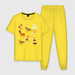 Пижама хлопковая мужская Разные виды лис, цвет: желтый