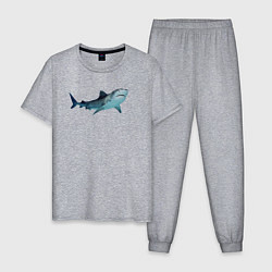 Пижама хлопковая мужская Realistic shark, цвет: меланж