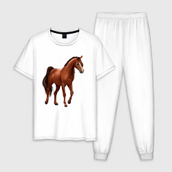 Мужская пижама Тракененская лошадь
